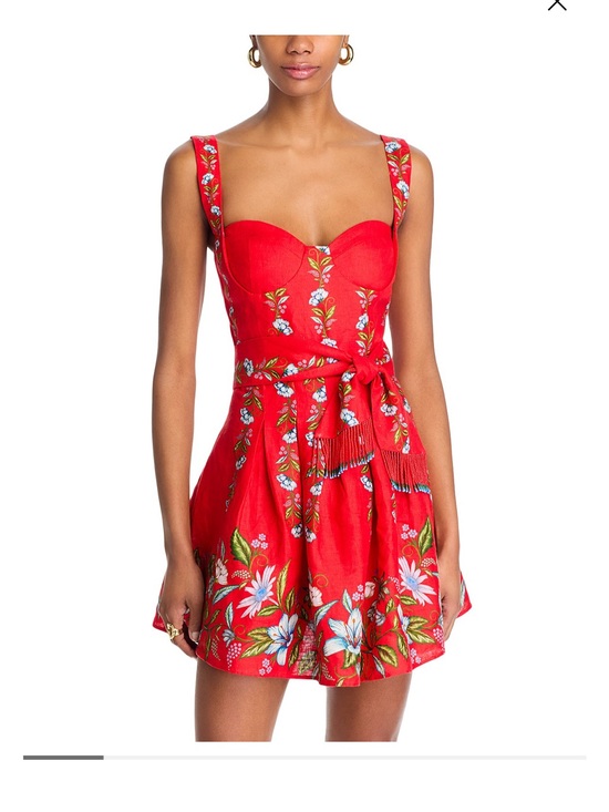 FARM Rio Dresses & Skirts - FARM Rio Red Floral Tie-Waist Mini Dress Sz L NWT